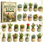 CHRISTMAS KICKOFF 40% OFF - Succulents & Cacti Advent Calendar 2026 - 24-Day Festive Countdown, Acrylic Charms Blind Box - Gift For Nature Lovers AC0HT217
