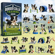 CHRISTMAS KICKOFF 40% OFF - Border Collie Training Advent Calendar 2026 - 24-Day Festive Countdown, Acrylic Charms Blind Box - Gift For Border Collie Lovers AC0HT173