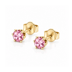 Valerie Stud Earrings
